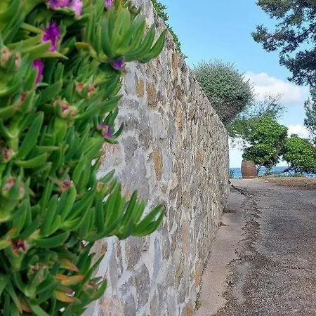 Sunny Terrace Hvar Apartman Zavala